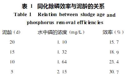 除磷效率與泥齡的關(guān)系