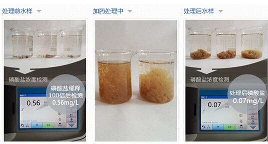 除磷劑除磷與生物除磷